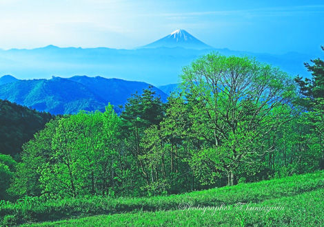 19950528-obinayama4513502